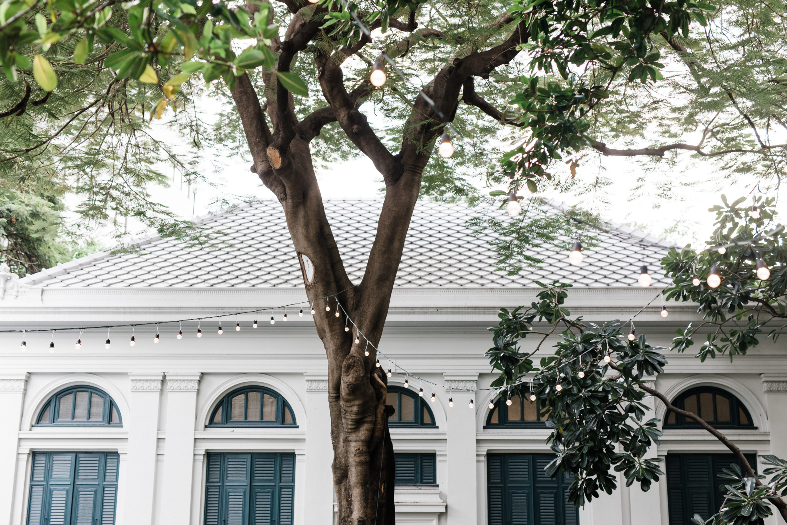 สถานที่แต่งงานที่ไม่ใช่โรงแรม สถานที่แต่งงานในกรุงเทพ ห้องสมุด neilson hays library สีลม งานแต่งงานวินเทจ