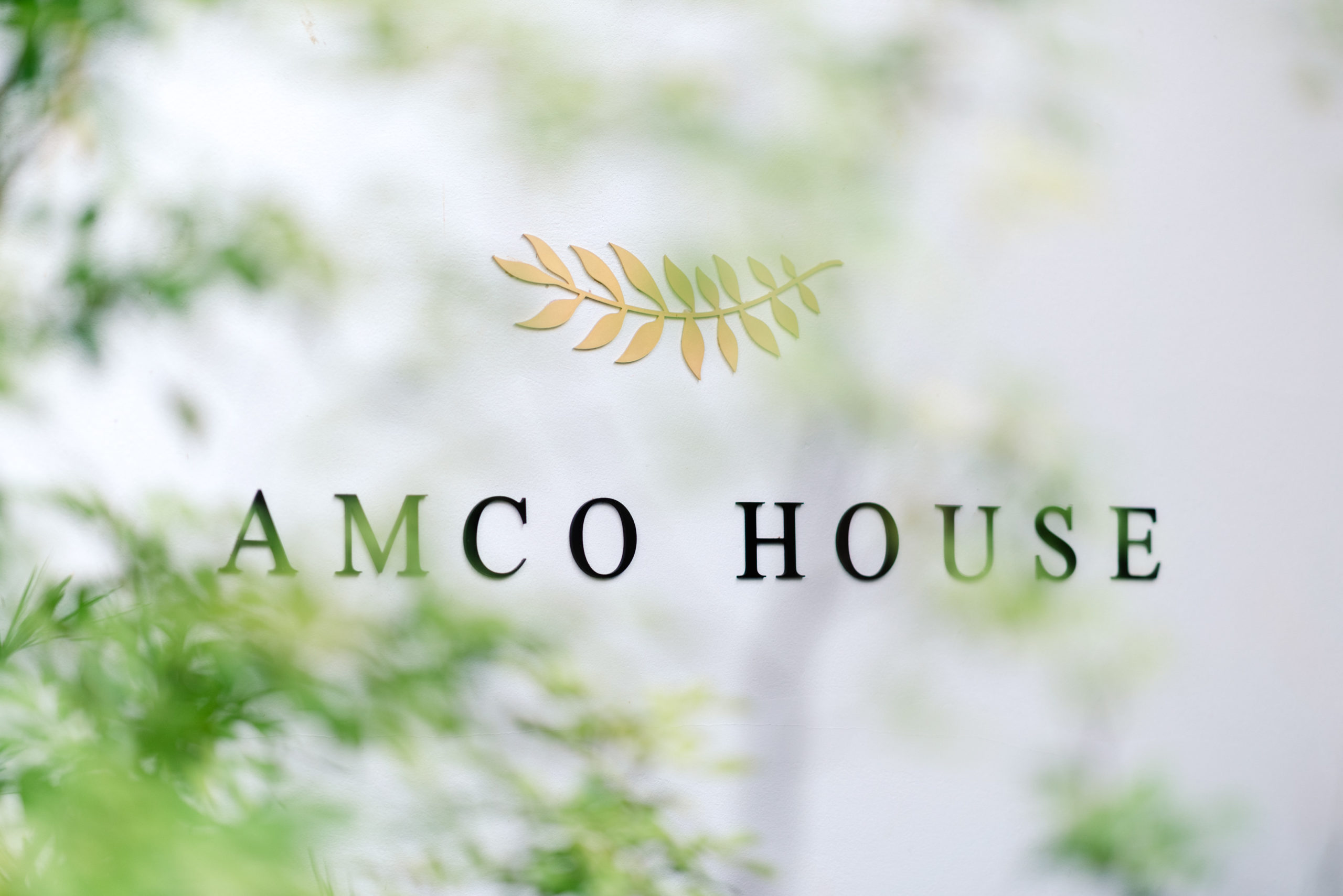 รีวิว งานแต่ง AMCO House กรุงเทพ งานแต่งในสวน งานแต่งมินิมอล สถานที่จัดงานแต่งมินิมอล เวดดิ้งแพลนเนอร์ minimal outdoor bangkok wedding planner
